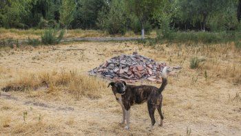 Los trabajadores advirtieron que Servicios Públicos arrojó residuos y no creen que sea para hacer un cerco.