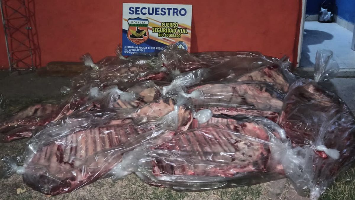 Lo pararon en un control y le encontraron 300 kilos de carne escondidos en el baúl