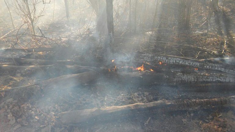 La chacra se prendió fuego por incendios de los alrededores.