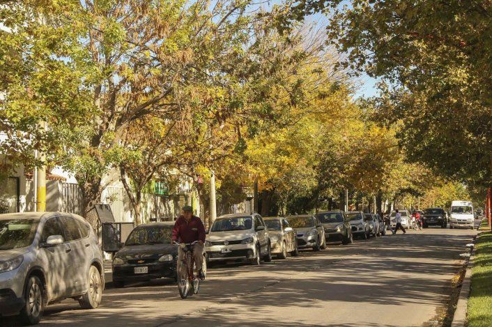 El otoño llegó a Cipolletti y coloreó la ciudad de amarillo