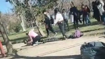 a las pinas, en el manzanar:  nadie intenta separarlas