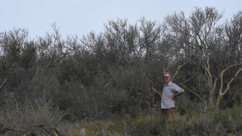 Productores podrán solicitar permisos para realizar quemas en zonas invadidas por vegetación arbustiva. (Foto: F. González) | LMCipolletti.com Productores podrán solicitar permisos para realizar quemas en zonas invadidas por vegetación arbustiva. (Foto: F. González)