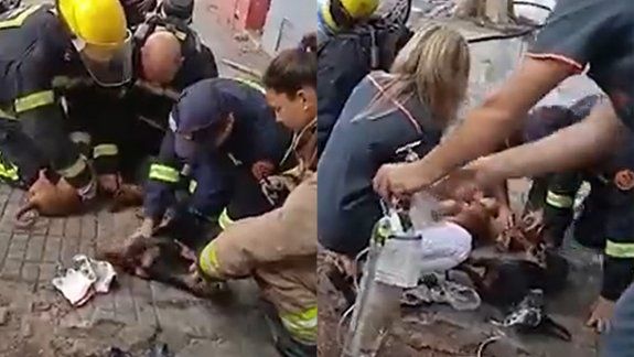 Bomberos salvaron a tres perros del fuego y les practicaron RCP