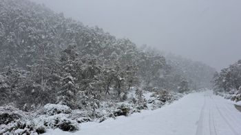 el pronostico se cumplio y cayo nieve en varias localidades: ¿llegara a neuquen?