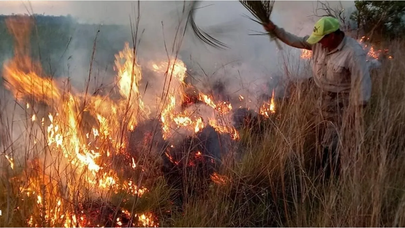 Tragedia: una maestra rural de 30 años murió mientras combatía un incendio forestal en Corrientes