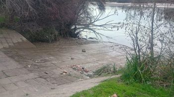 El macabro hallazgo se registró en la costanera de Viedma. Fotos: Gentileza (NoticiasNet).