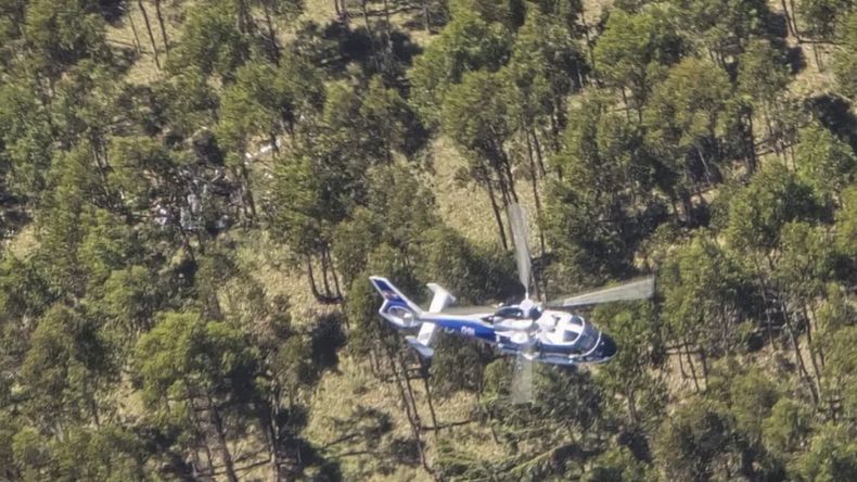 El lugar donde cayó la avioneta tras el accidente en el que murió su piloto, en Uruguay. | LMCipolletti.com El lugar donde cayó la avioneta tras el accidente en el que murió su piloto, en Uruguay.
