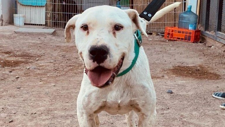 Tras el rescate, Marcus ya está listo para buscar su hogar soñado