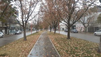 El otoño se hace sentir en el Alto Valle. Las hojas de los árboles cubren la superficie. 