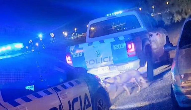 Violento robo en el autódromo de Centenario: se llevaron millones de pesos