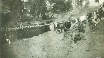 Arreo de ganado en la zona rural de actual barrio Puerto Manzano. Fuente Archivo Visual PatagónicoFoto: Colección Arduser y Archivo Visual Patagónico.&nbsp;