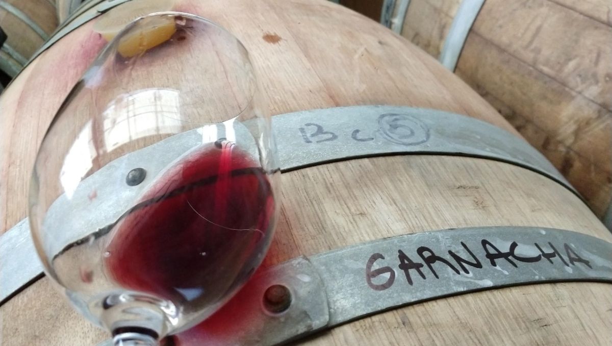 Garnacha o Grenache