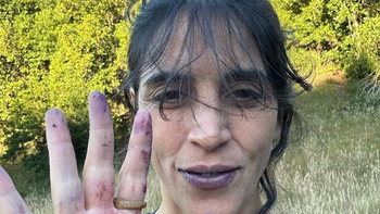 El fruto que tiñe las manos: Característico por su intenso color violeta, el maqui es recolectado artesanalmente entre enero y febrero. | LMCipolletti.com El fruto que tiñe las manos: Característico por su intenso color violeta, el maqui es recolectado artesanalmente entre enero y febrero.