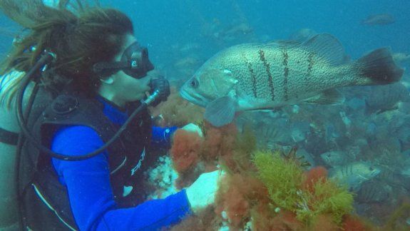 El buceo es un tesoro para el turismo en Las Grutas