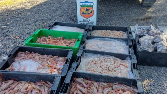 Secuestraron 180 kilos de mariscos en un control vehicular