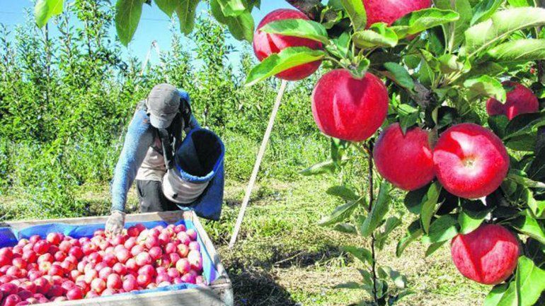 Río Negro pone en marcha el programa Par Agroquímicos