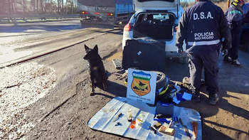 El operativo de rutina terminó con una gran sorpresa en la Ruta 22, a la altura de Allen. El operativo de rutina terminó con una gran sorpresa en la Ruta 22, a la altura de Allen.
