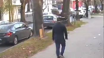 lo ataco un pajaro, su reaccion quedo grabada y se viralizo lo ataco un pajaro, su reaccion quedo grabada y se viralizo