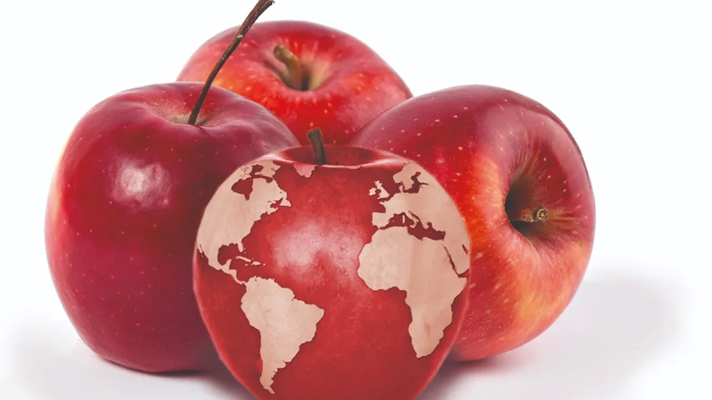 Las exportaciones de manzanas hacia los mercados regionales crecieron con fuerza en estos últimos años.