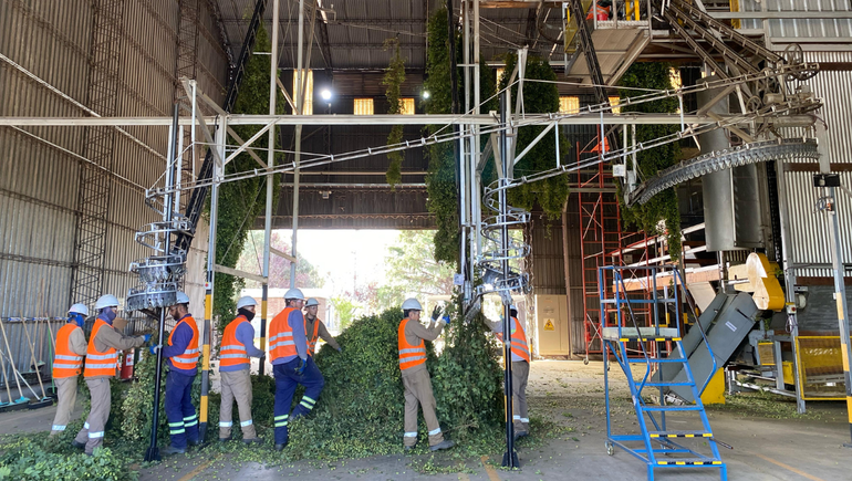 El proceso industrializado también se desarrolla en Fernández Oro. Allí procesan la producción propia y la adquirida en El Bolsón. 