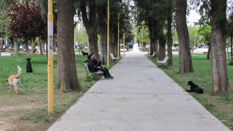 El engaño se consumó en la plaza.