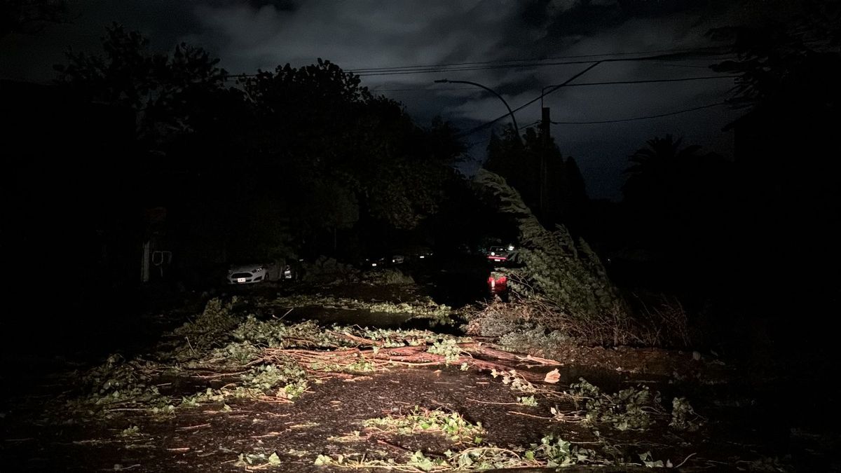 La tormenta causó desastres en Cipolletti: calles inundadas