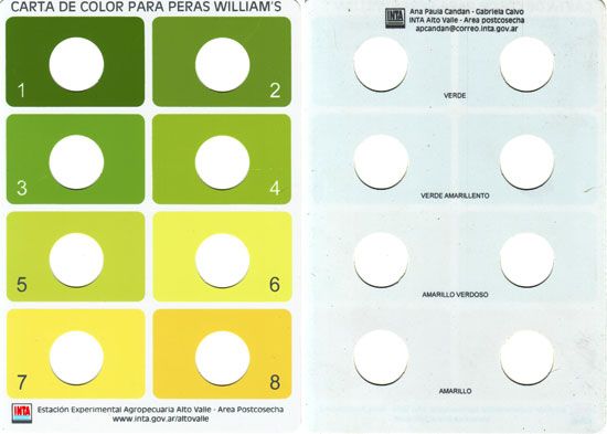 Carta de color para peras Williams