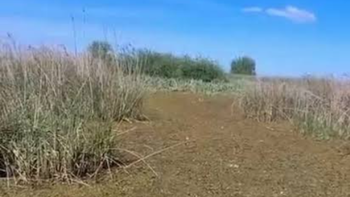 Se trata de un sector de difícil acceso del paraje El Malezal, en el departamento de Esquina.