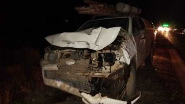 Chocó contra un caballo sobre la Ruta 151 y se salvó de milagro