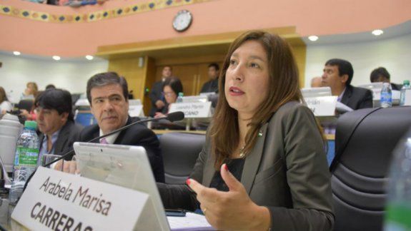 Carreras defendió la iniciativa del Ejecutivo en el recinto.