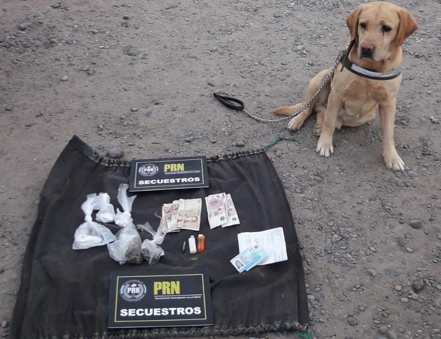 Narcos pidieron la devolución de una camioneta y dos balanzas