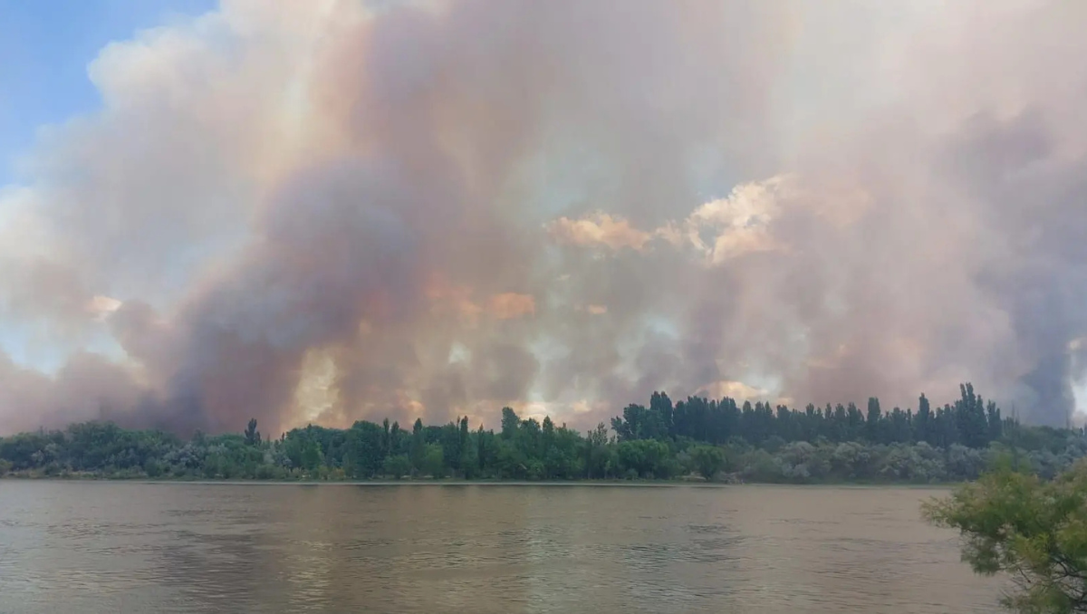 1.750 hectáreas ya fueron consumidas por el fuego en Guardia Mitre.