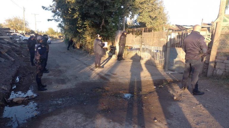 Encontraron un vivero con plantas gigantes de marihuana