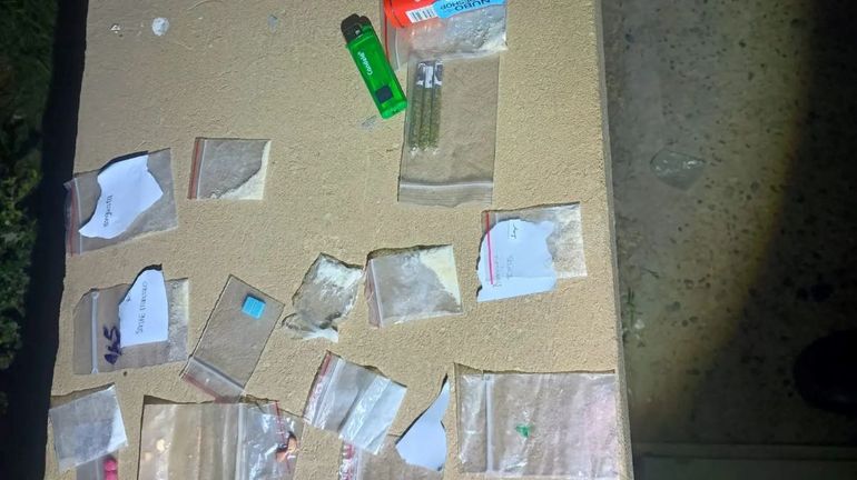 Las distintas sustancias narcóticas secuestradas por la policía en la fiesta electrónica que se realizaba en un predio de Cipolletti. 