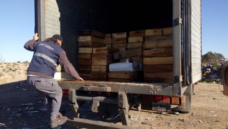 La base del Senasa en la región está en Cipolletti