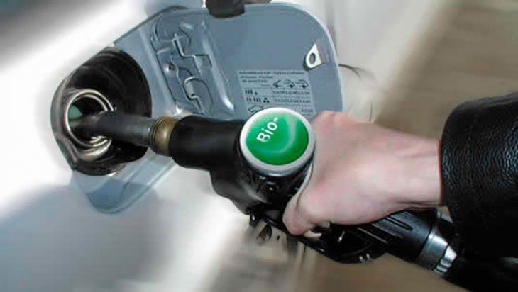 Elevan el corte de biocombustibles para garantizar el abastecimiento de gasoil