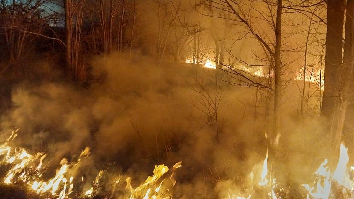 Incendio una chacra aledaña a ruta 22: las llamas ponen en peligro una escuela