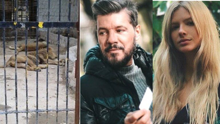 Famosos desesperados por el abandono de los animales en el Zoo de Santiago del Estero: Los están dejando morir! copy