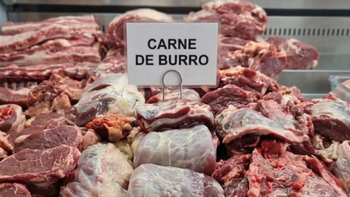Pese al éxito de ventas en Trelew, el Código Alimentario prohíbe el consumo de carne de burro. | LMCipolletti.com Pese al éxito de ventas en Trelew, el Código Alimentario prohíbe el consumo de carne de burro.