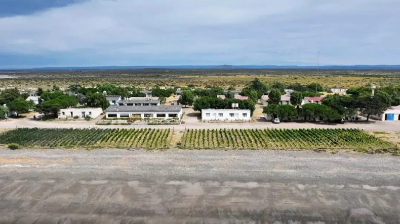 El viñedo marítimo estará activo en 2025. Foto: @ExploreBahiaBustamante