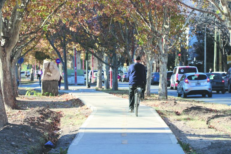 Bicisendas con prioridad.