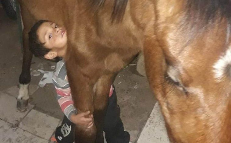 La historia de Gringa, la yegua que paseaba por el Manzanar