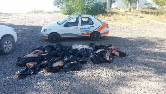 Decomisaron 27 costillares sobre la Ruta Nacional 151