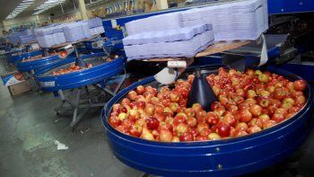 la paritaria de los empacadores, un juego de ajedrez