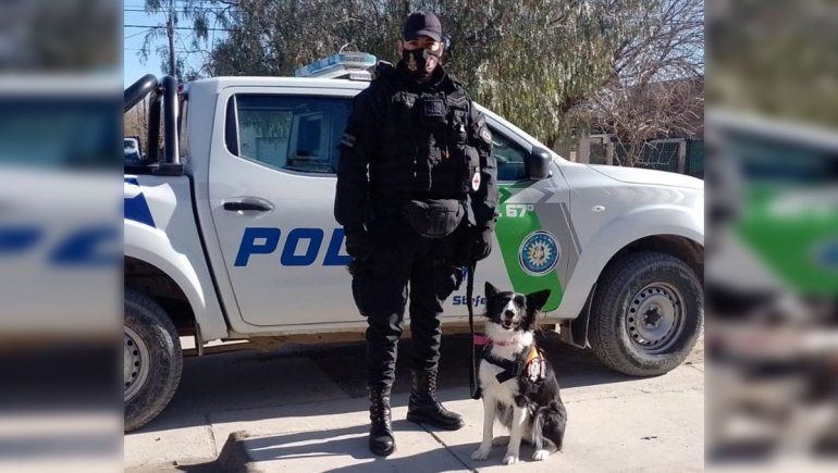 Lulú, la perrita que se suma al equipo de la Policía de Río Negro