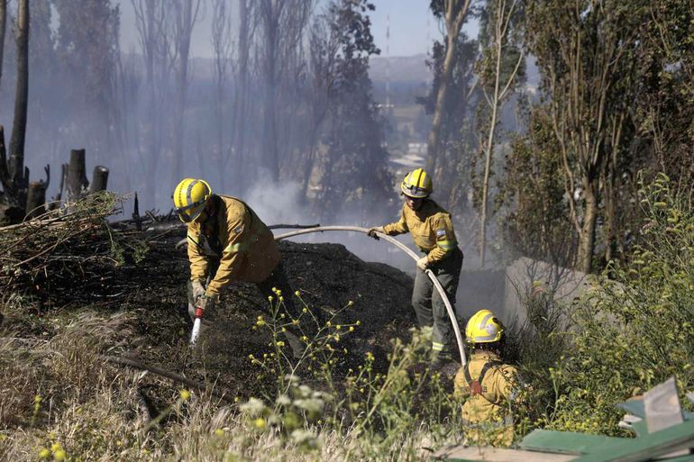 Los brigadistas del SPLIF trabajan constantemente para contener los focos de incendio, ante las altas temperaturas registradas en la región.   