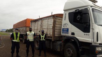 llevaba 28 mil kilos de cebolla y le decomisaron todo llevaba 28 mil kilos de cebolla y le decomisaron todo
