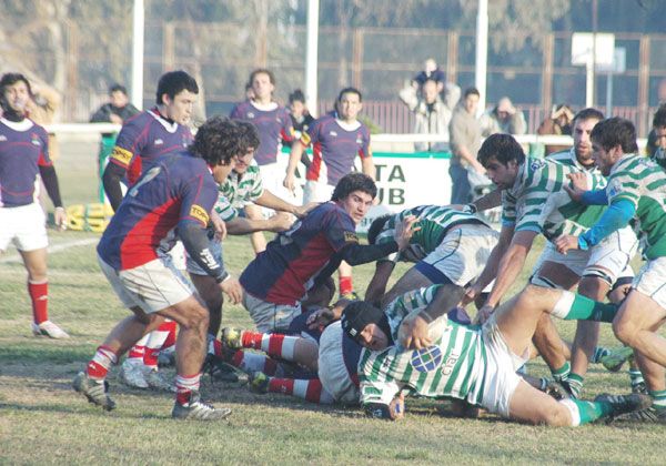 Pehuenes de Bariloche viene al Hormiguero