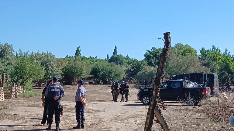 La Justicia encabezó un operativo en Isla Jordán. Hay denuncia por faena clandestina y usurpación.