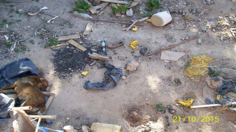 Denuncian que lo dejaron morir de hambre y sed